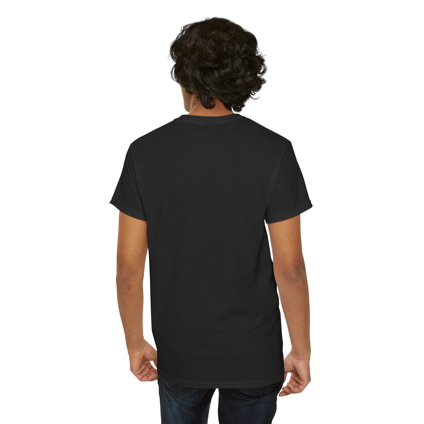 Northern Lights Fox Tee